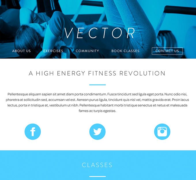 vector