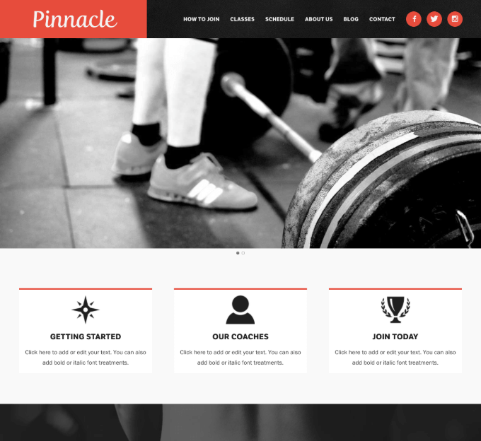 Website Template Pinnacle