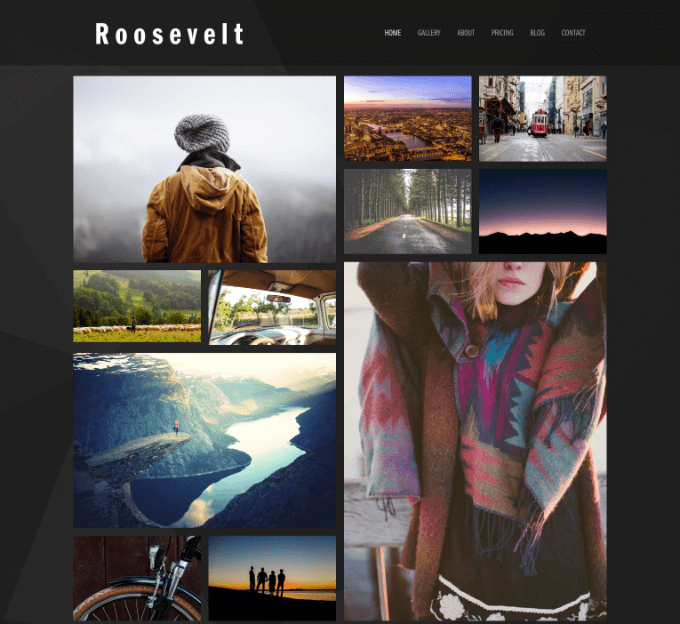 Website Template Roosevelt